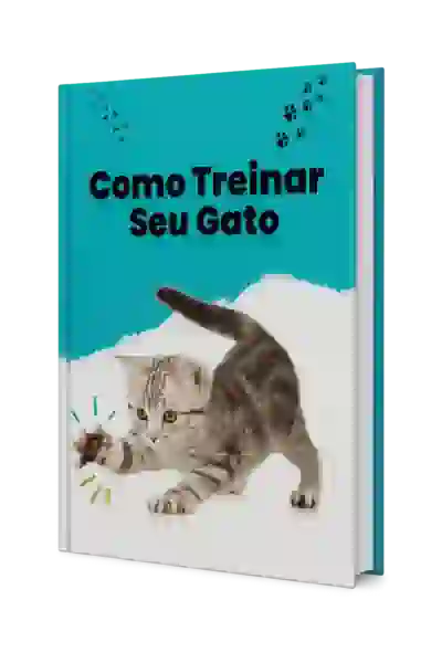 Como treinar o seu gato.