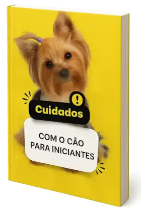 Cuidados com o cão para iniciantes70.